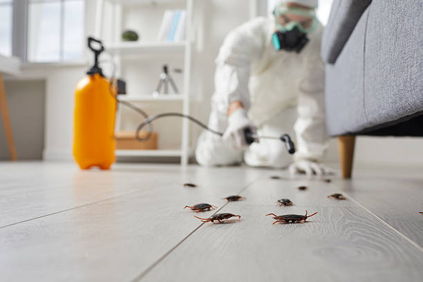 Post-Treatment Bed Bug Interceptor Monitoring in North Bonneville