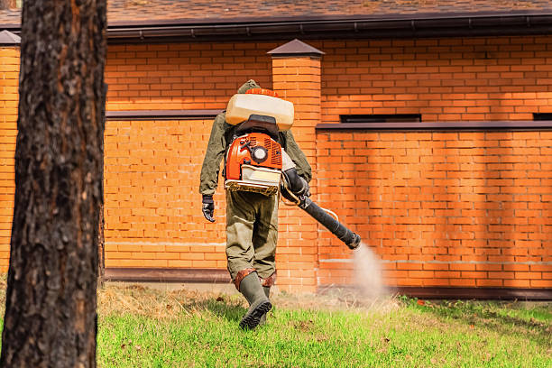Bed Bug Clearance Verification and Documentation in North Bonneville
